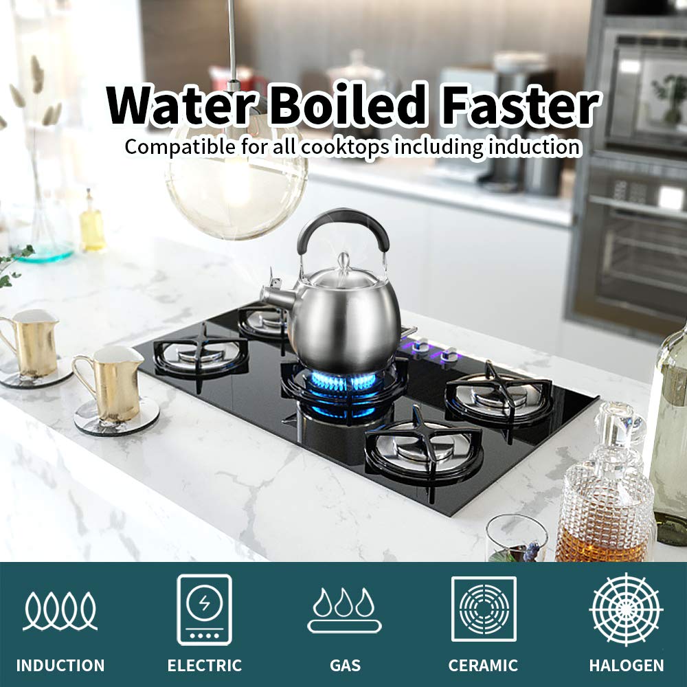 Tetera de acero inoxidable 304 (4L)