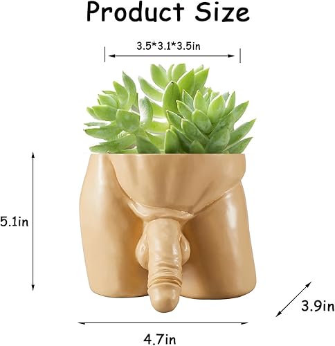 Miniatura 2 de Lourich Divertidas macetas para suculentas, maceta de resina, jarrón con forma de cuerpo, macetas únicas y divertidas, macetas de arte de pene de