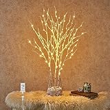 Hairui Lighted Birch Branches Plug in with Timer 30IN 150 LED Fairy Lights, White Willow Branch Lights for Christmas Fireplace Room Vase Decoration Indoor Outdoor Use (Vase Excluded)