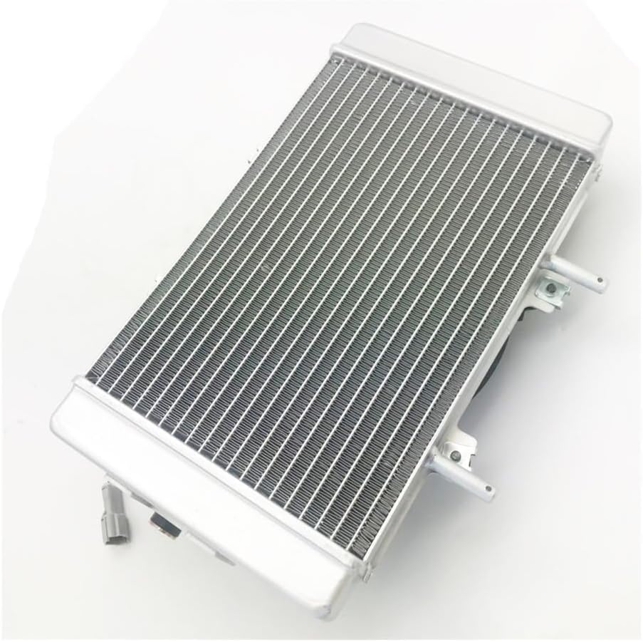 Quad RADIATOR And FAN ELECTROMOTOR ASSY Fit For 300CC D300 ATV
