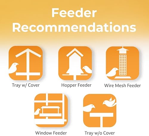 Miniatura 6 de Lyric Cardinal - Semillas de aves silvestres para comederos exteriores – Mezcla de semillas de girasol y cártamo prémium para cardenales, picos,