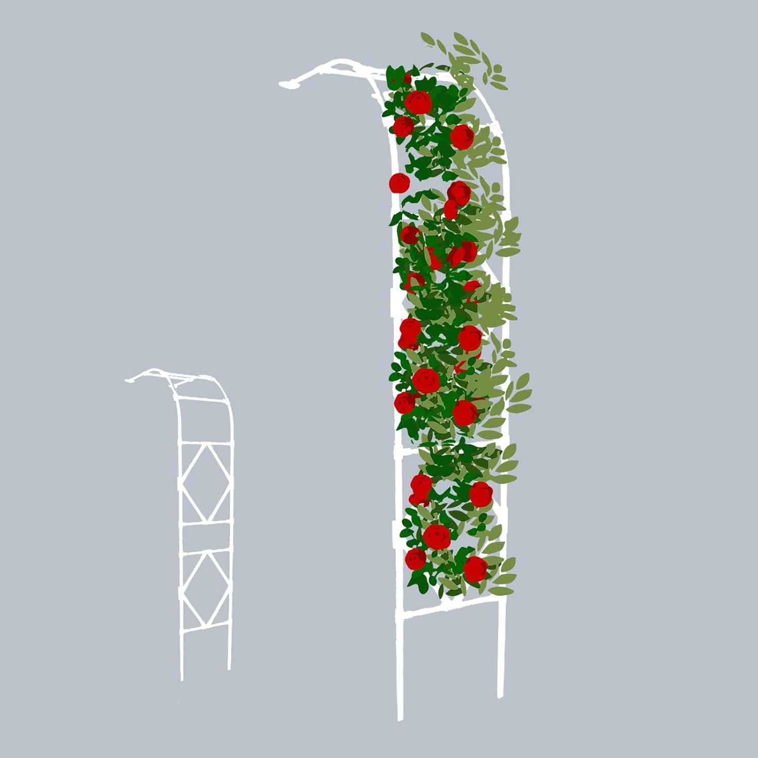 Half Side Wall-Mounted Garden Archway, Rose Arch Half-Side, Wall-mounted lattice plant climbing frame, garden/balcony/villa arched decoration 60/90/120/150/180/220/240/260/300×240×40cm ( Color : Black