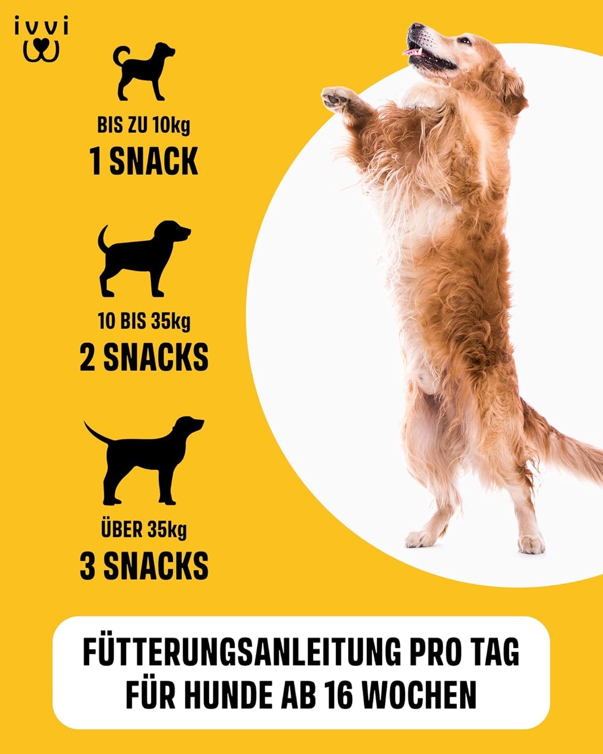 ivvi Hip & Joint tabletki na stawy dla psów z glukozaminą, chondroityną i MSM – 60 przekąsek (270 g)