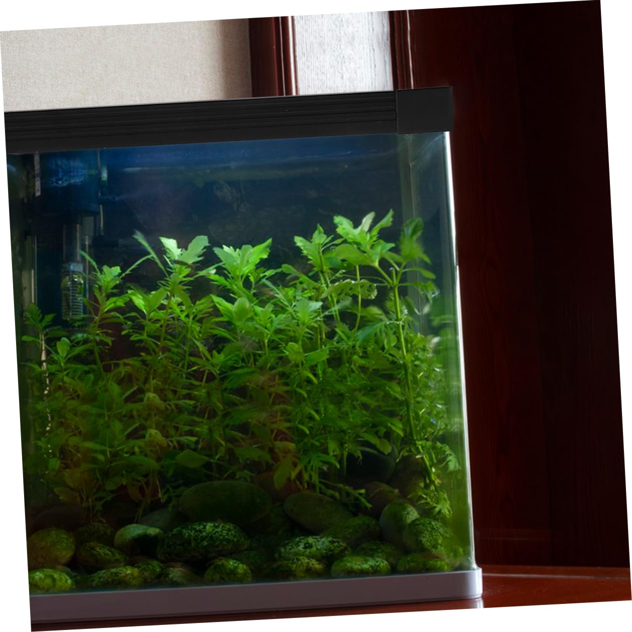 Tiras para Bordes De Peceras, Protector De Bordes De Acuario, Tira para Bordes De Peceras, Tira De Sellado De Pared para Acuario, Borde De Plástico, De Bordes De Peceras,