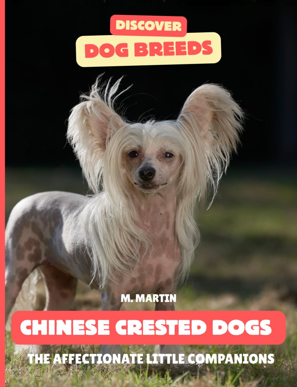 Chinese Crested Dogs: The Affectionate Little Companions (Discover Dog Breeds)