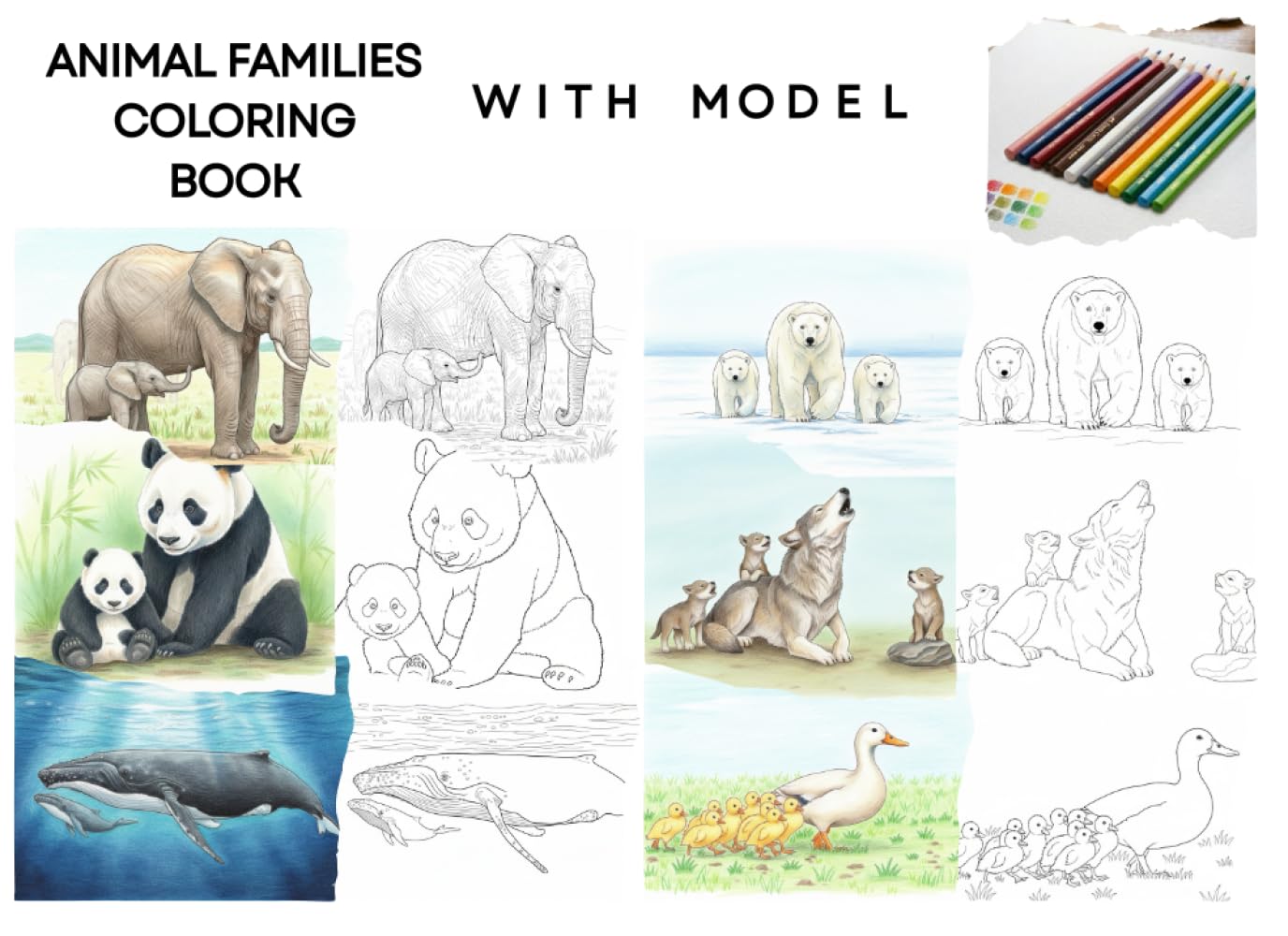 Animal Families: Adult Animals and Their Young to Color – A Realistic Book to Share with the Family. With model to paint with colored pencil.
