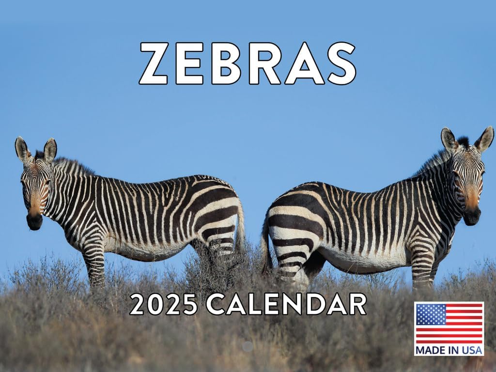 Zebra Calendar 2025 Monthly Wall Calender 12 Month