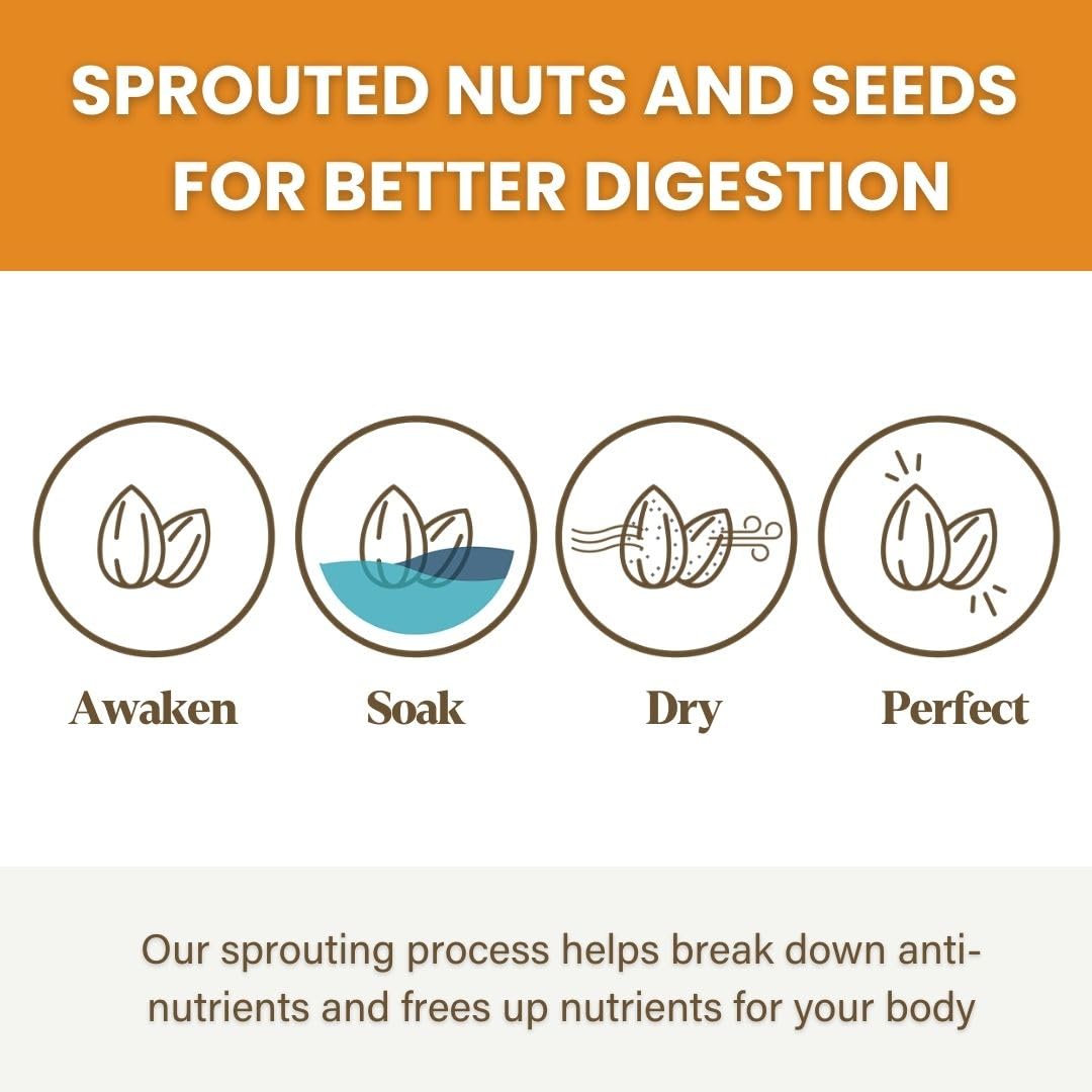 Purely Sprouted Orange Ginger Sprouted Snack Mix with Almond, Cashew Nuts & Pumpkin Seeds – Grain and Gluten Free, Non-GMO, Vegan – Ideal for On-the-Go,Orange Ginge, 4oz, 6 pack