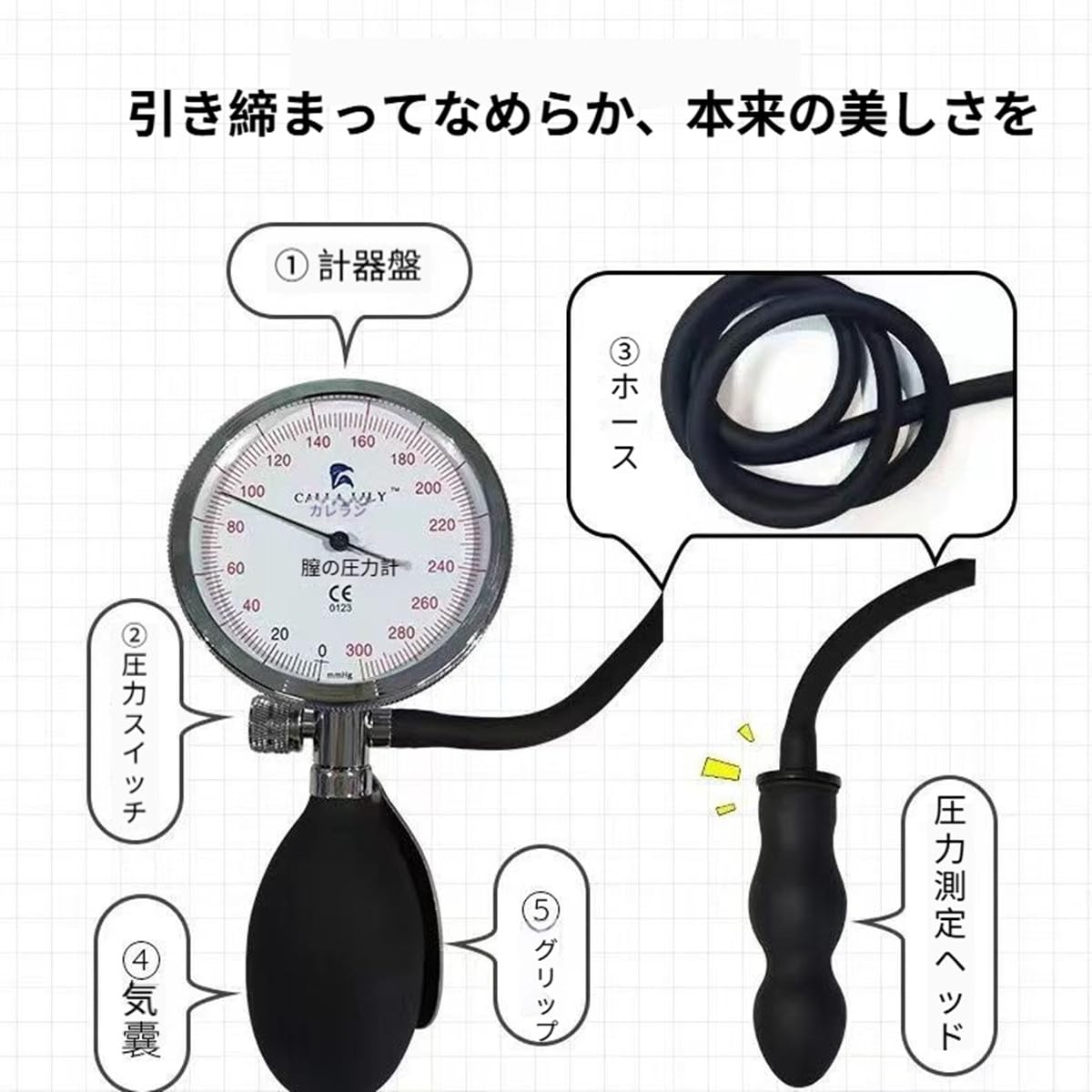 Amazon.co.jp: 膣圧計測機器 膣ボール圧力計 膣肛門栓圧力計 無臭 産後