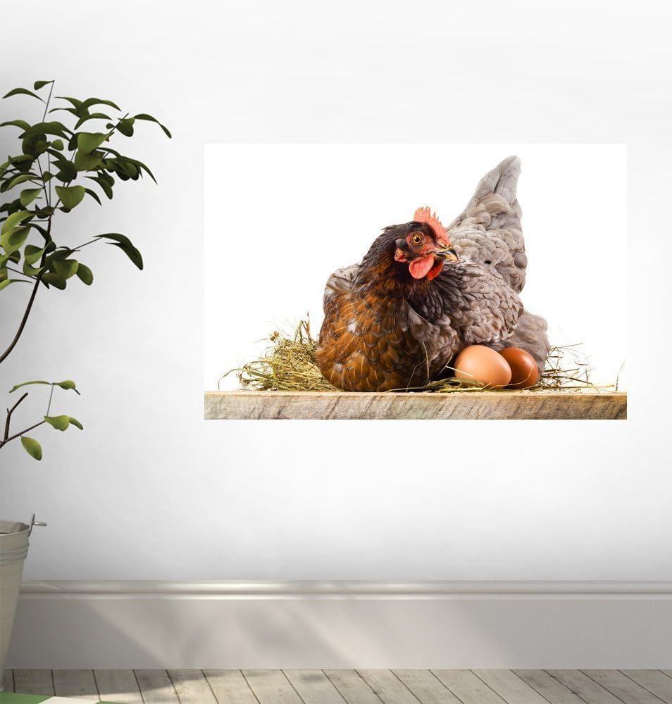 Wallmonkeys Hen in Nest with Eggs Wall Decal Peel and Stick Graphic WM46163 (18 in W x 12 in H)