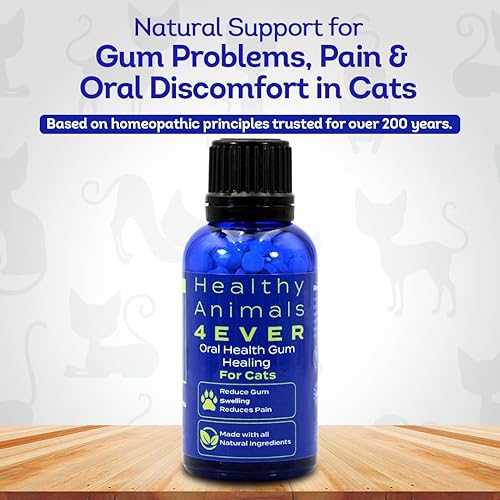 Miniatura 2 de Healthy Animals 4 Ever - Goma de mascar curativa para gatos - Alivia la inflamación, alivia el dolor, combate las enfermedades de las encías,