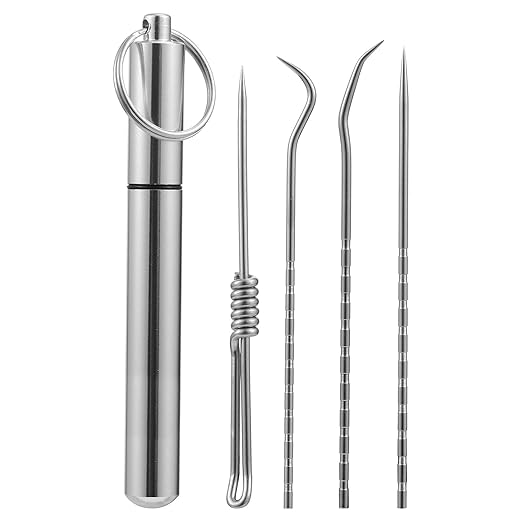 1 Set/ 4pcs Portable Toothpick Set Stainless Steel Toothpick Flossing Tool Brand and New