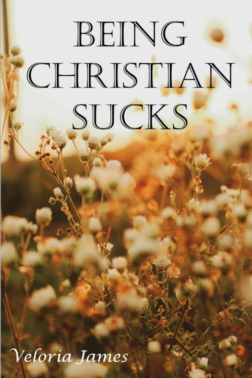 Being Christian Sucks