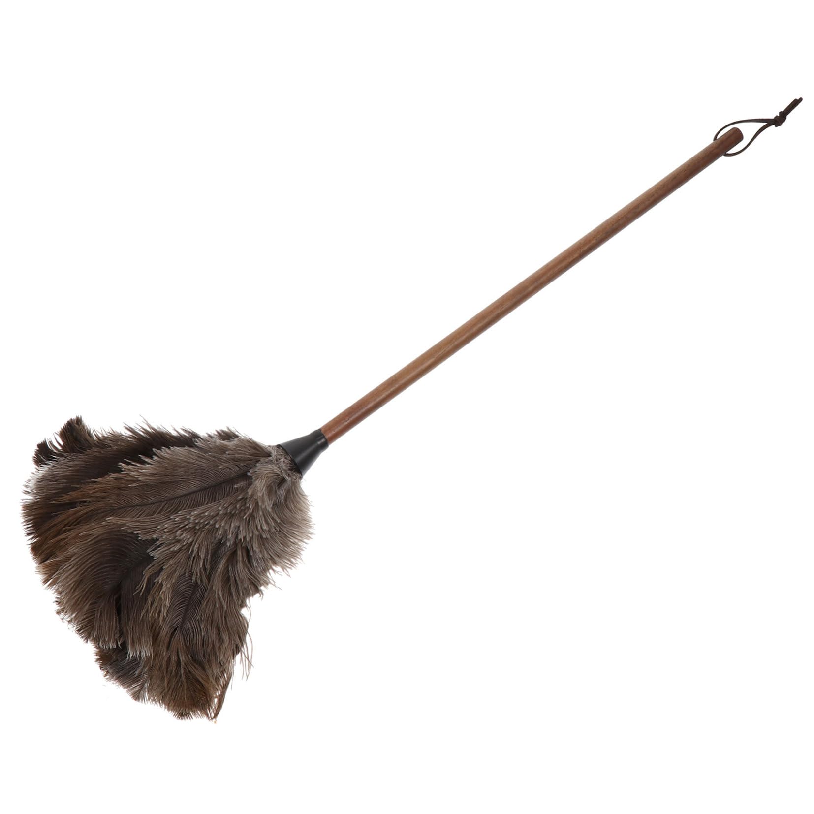 Plumero De Plumas De Avestruz Negro Mango De Nogal Mate, Herramienta De Limpieza Para Hogar, Capturador De Polvo Sin Químicos, Polvo Para Muebles, Uso Doméstico