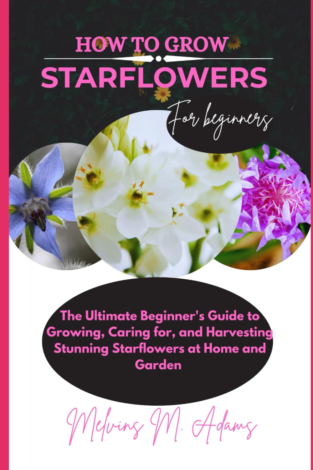 How to grow Starflowers for beginners: The Ultimate Beginner’s Guide to Growing, Caring for, and Harvesting Stunning Starflowers at Home and garden