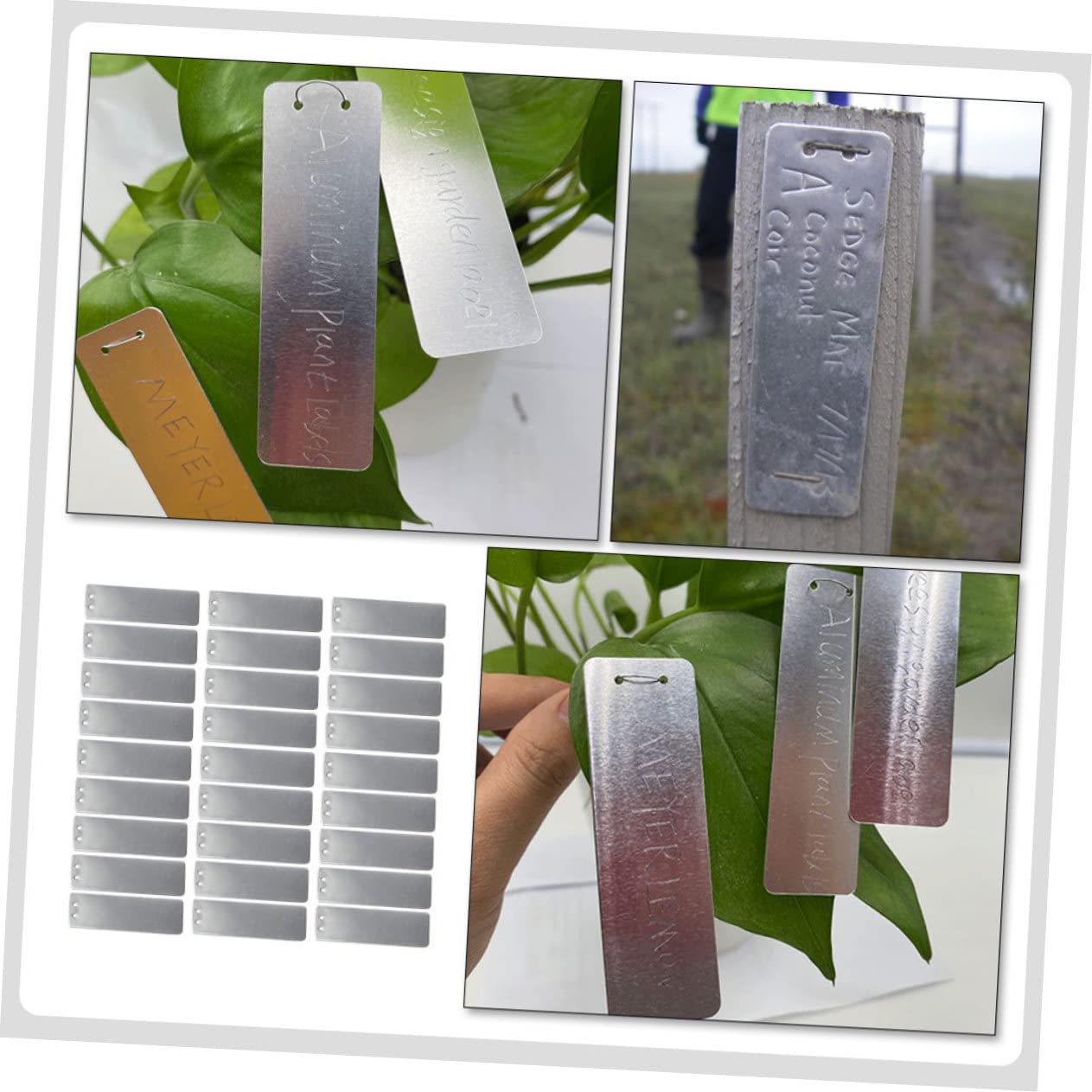 INOOMP 500sätze Pflanzenetiketten Teiliges Wiederverwendbare Wasserdichte Gartenmarker Für Blumen Sukkulenten Und Kräuter Für Gartenarbeit Und Dekoration