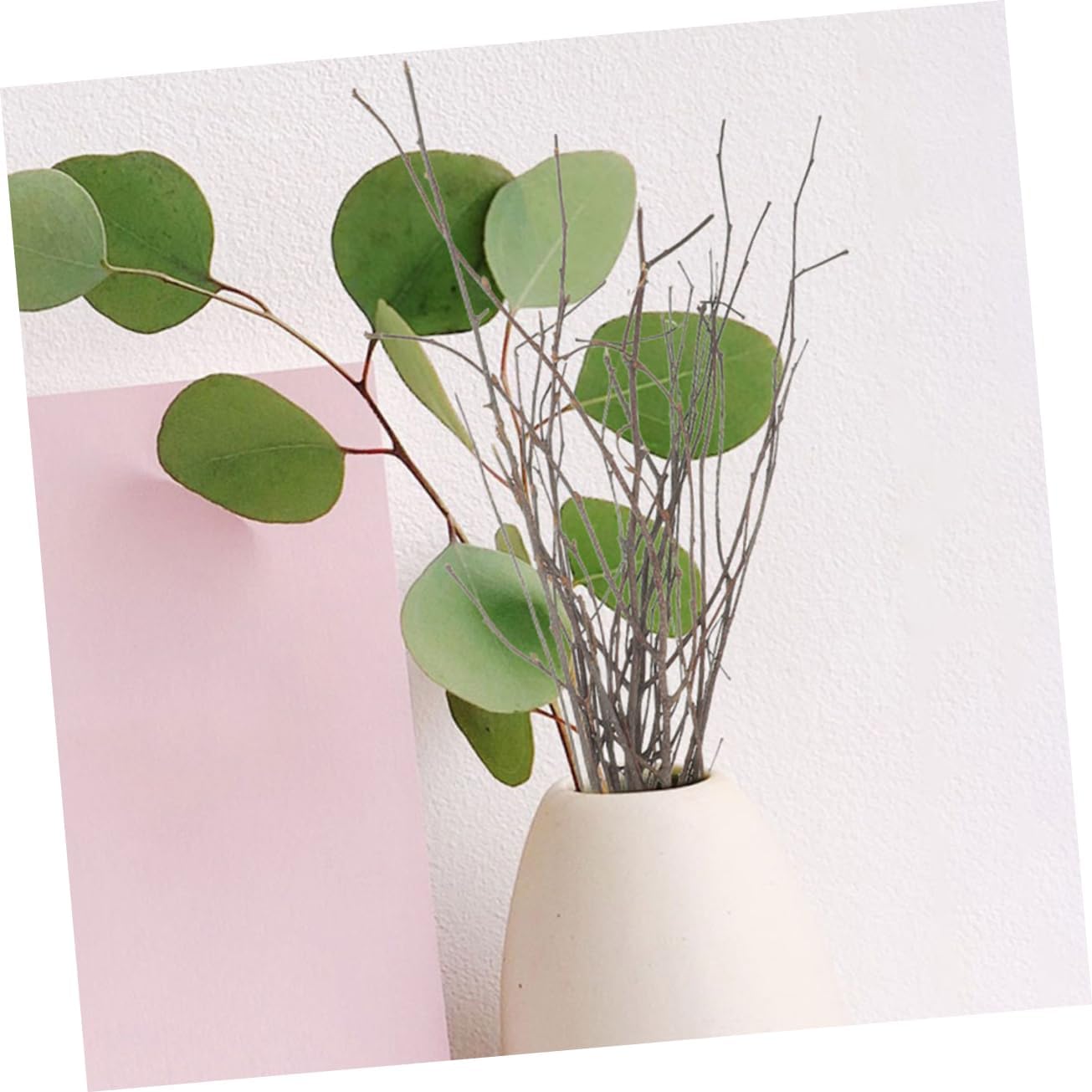 12Pcs Natural Dried Birch Branches for DIY Flower Arrangements Decor Twigs for Vases Home Office and Event Decoration Elegant Rustic Decor Elements