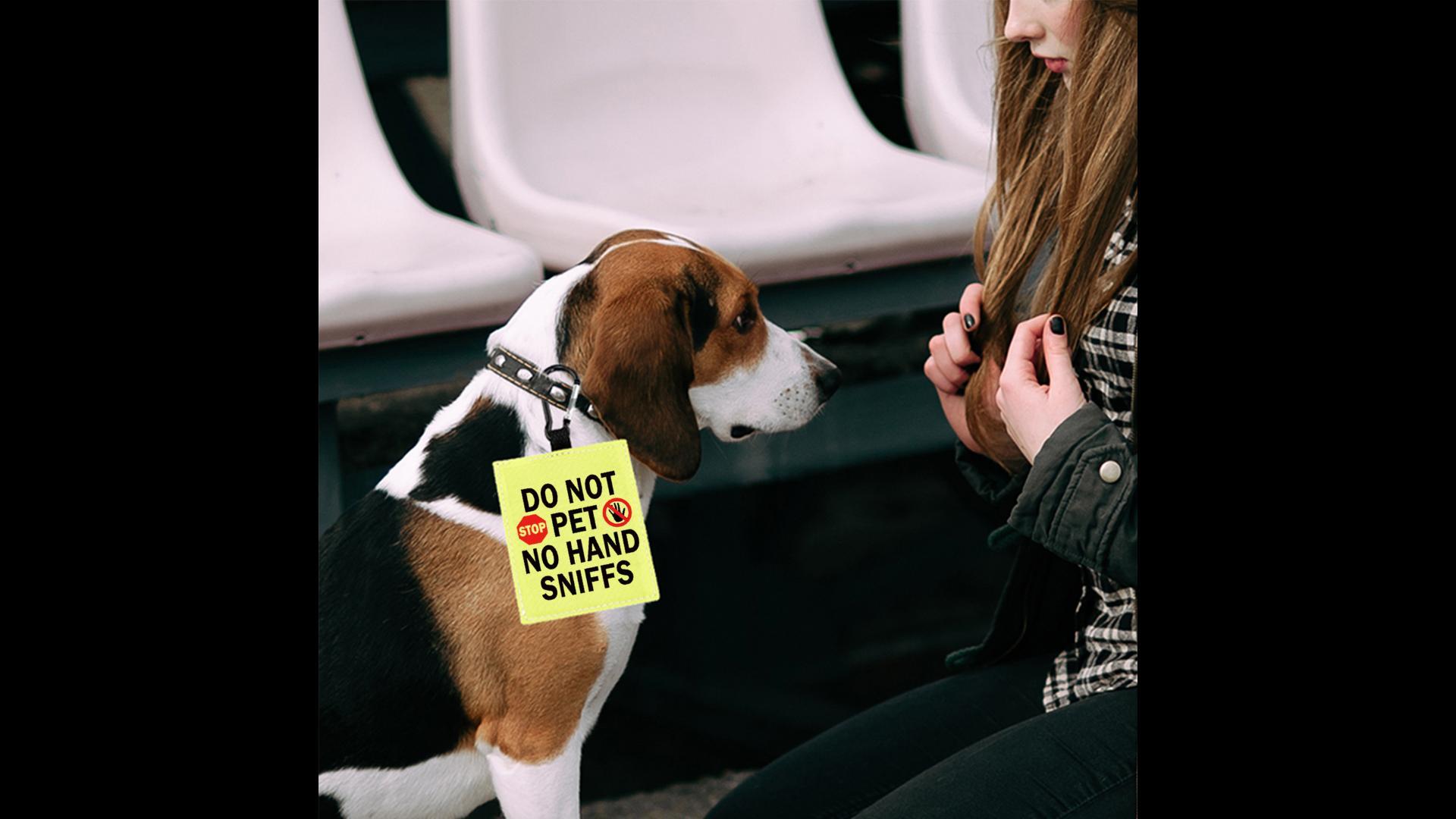 Reactive Dog Warn-Patch Gelb – 'Keine Hunde / Nicht Anfassen' Für Hundegeschirr & Leine
