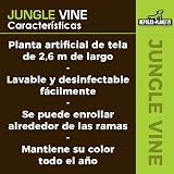 Ver la foto 4
