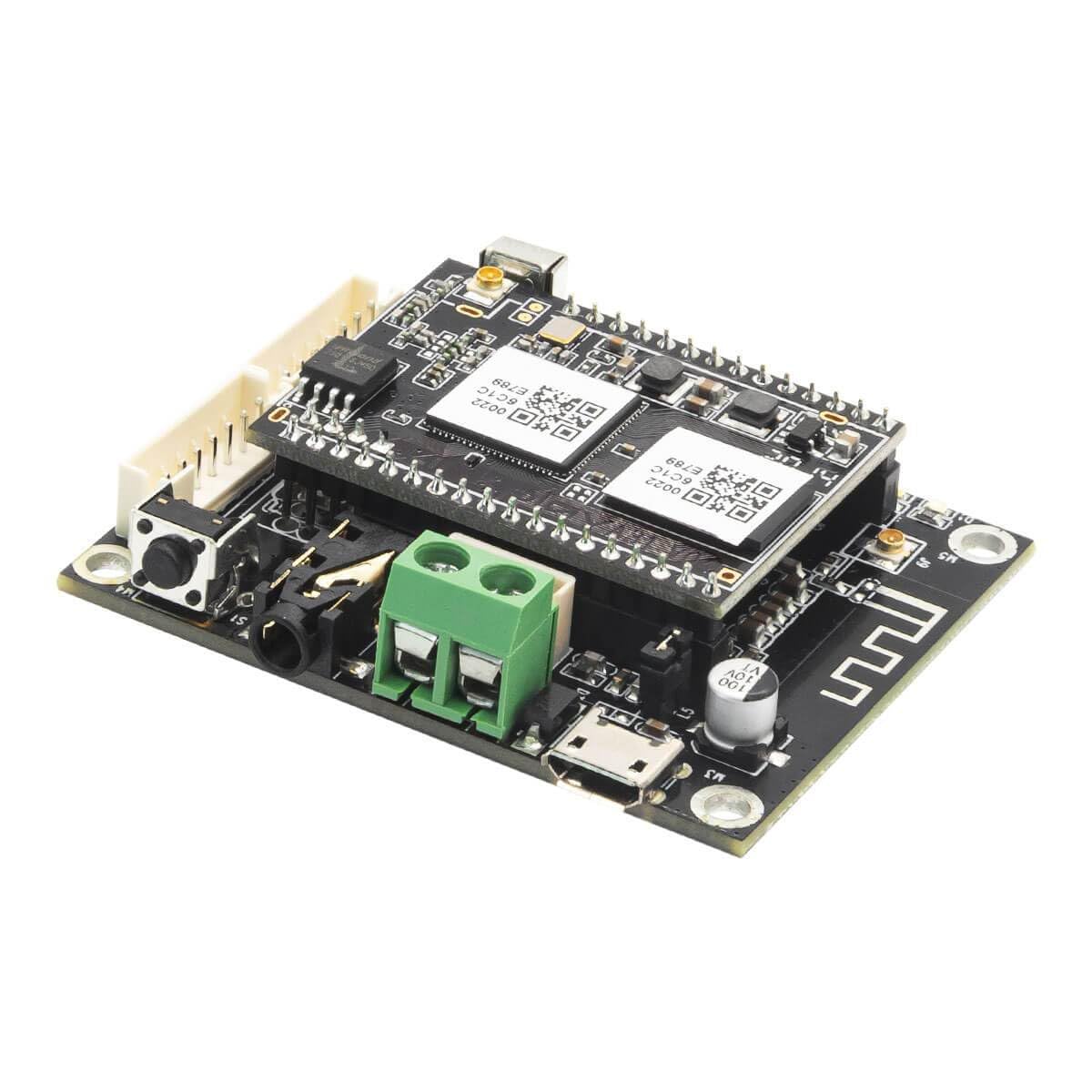 Arylic WiFi & Bluetooth Audio Receiver Board, Wireless Multizone Home Stereo Music Receiver Circuit Module with Airplay Spotify Connect and Remote Control for DIY Speakers Mini V3