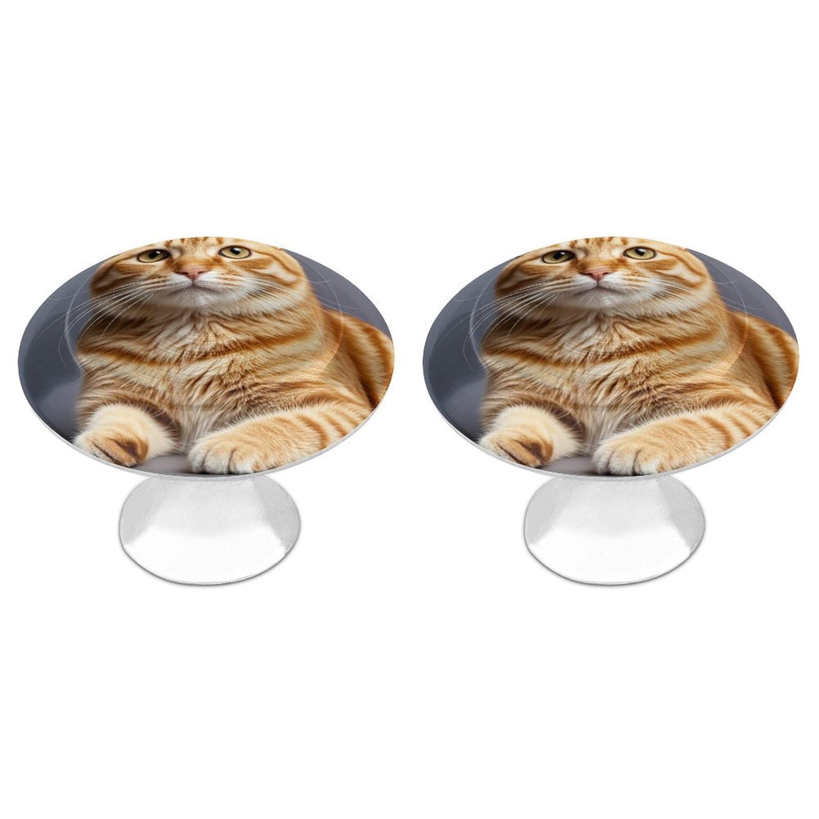 FekiLoot Cat Cabinet Knobs 2 Pack Stainless Steel Round Dresser Drawer Knobs Kitchen Drawer Hardware Dresser Knob Closet Door Pulls Cabinet Handles for Cupboard Drawer Pulls