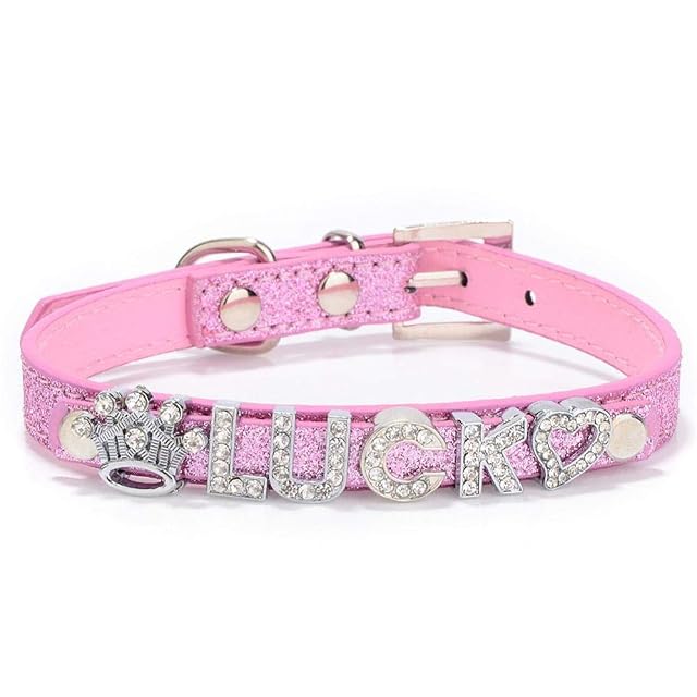 Collares de perro con nombre de bricolaje personalizados