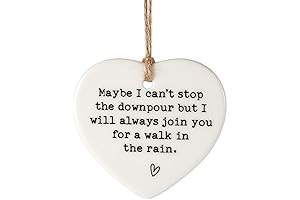 Best Friend Gifts, Maybe I Can't Stop the Downpour Friendship Plaque