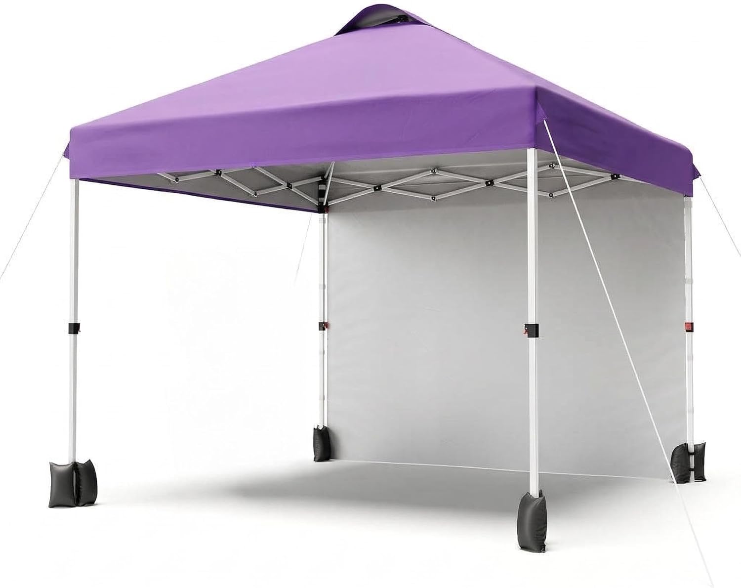 Garvee 10x10 Pop Up Canopy, Easy Up Outdoor Canopy Tent with Removable Sidewall, Portable Instant Commercial Tent Shelter with Vented Roof Roller Bag for Camping Picnic Beach, Purple