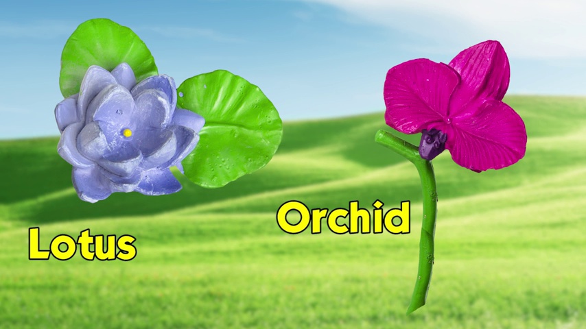 Amazon.com: Safari Ltd. Flowers TOOB - Mini Figurines of Rose