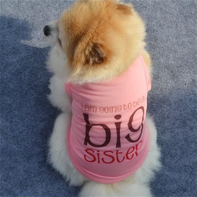 Foto 3 de 4 de Ropa de protección para el sol para perro, sin mangas, estilo casual