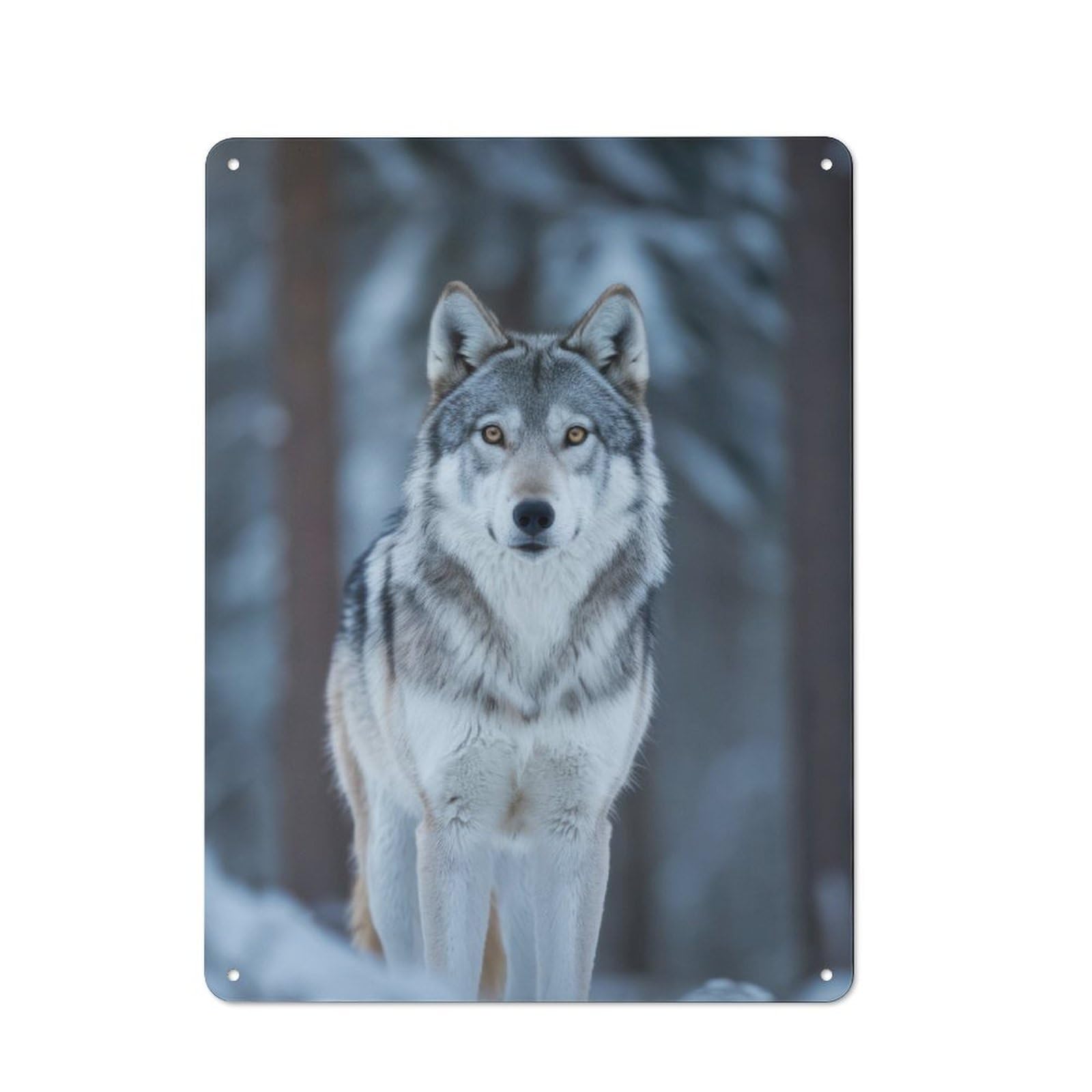 Junmoney Wolf In Winter Forest For Lounge Or Reading Corner, Retro Metal Plaque 40X30cm, For Vintage Wall Decor Fans, For Metal Sign Collectors