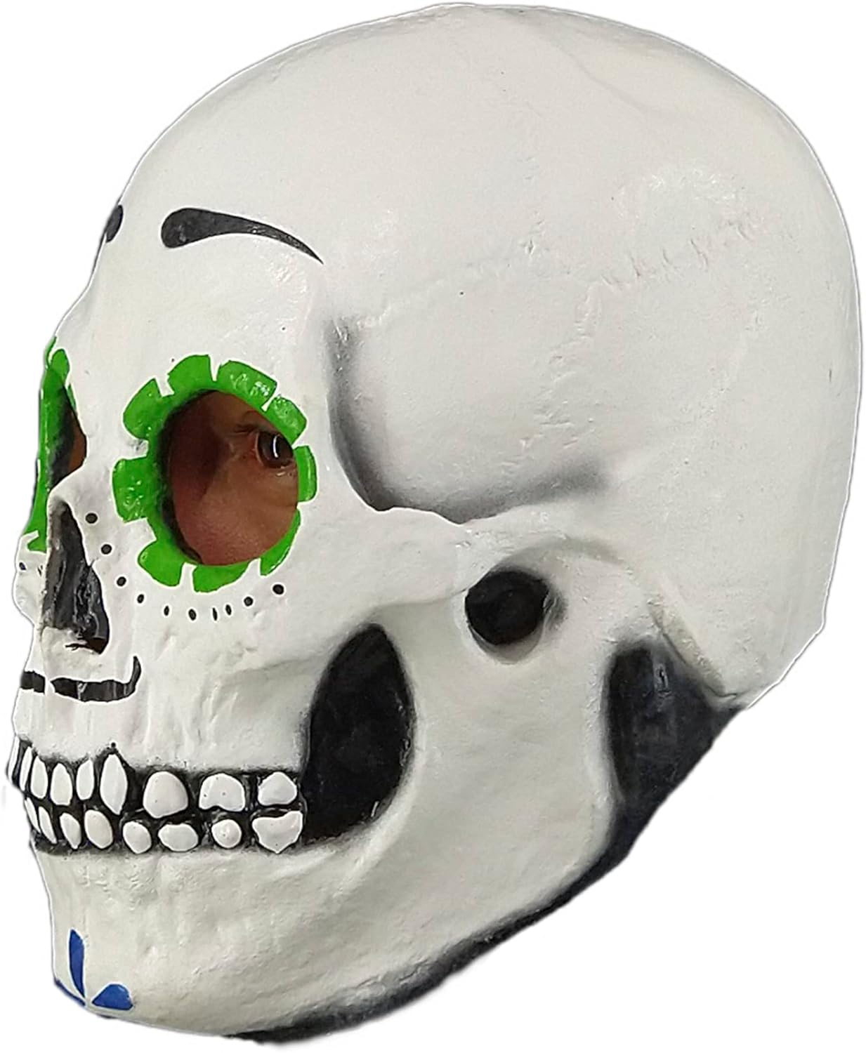 Partychimp 54-26455 Headmask - Catrin Skull/One-size Party mask, Multi-Coloured, T.Universal