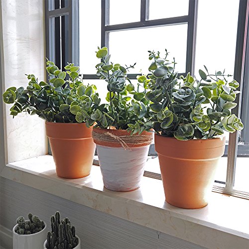 Supla-3-Pcs-Realistic-Eucalyptus-Leaves-Bushes-Artificial-Greenery-Stems-Faux-Eucalyptus-Branches-in-Grey-Green-146-Tall-for-Vase-Bouquets-Wreath-Garland-Floral-Crafts-Centerpiece-Table-Decorations Supla 3 Pcs Realistic Eucalyptus Leaves Bushes Artificial Greenery Stems Faux Eucalyptus Branches in Grey Green 146 Tall for Vase Bouquets Wreath Garland Floral Crafts Centerpiece Table Decorations