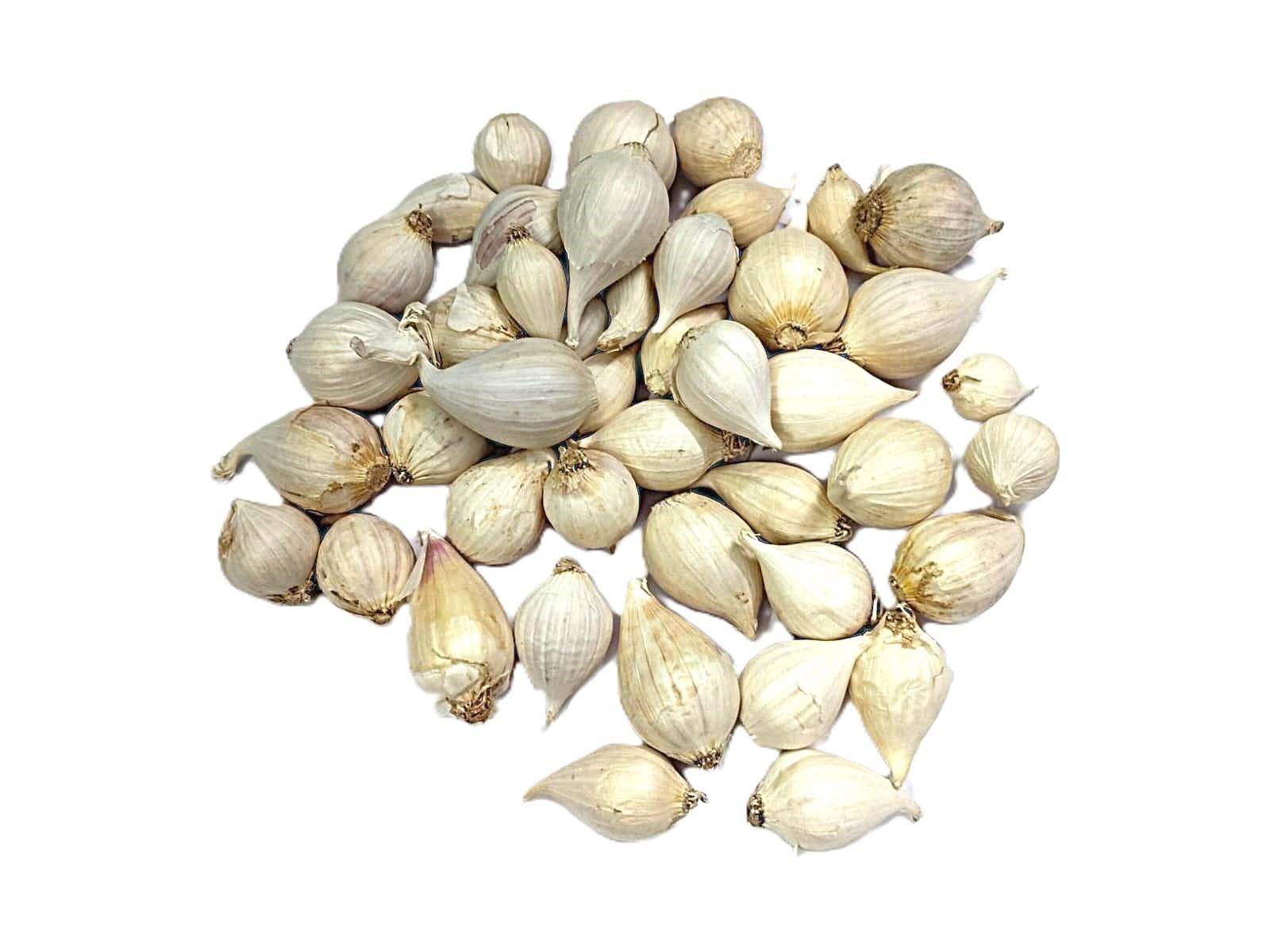Single Clove Garlic, Fresh Whole Solo Garlic Bulb, Natural Flavourful Ingredient for Cooking, Medicinal purpose Pack of 200 Grams-image-35