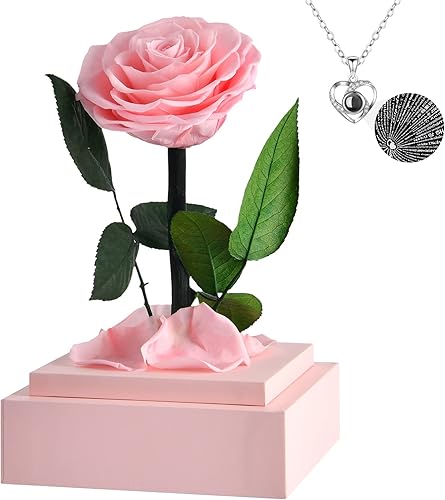 DEARCCINO Rosas reales azules preservadas para el día de San Valentín con collar I Love You en 100 idiomas, flores preservadas para siempre, regalo