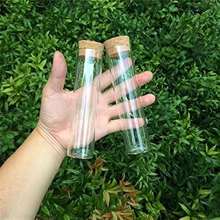 Jarvials 12 Sets of 110ml Transparent Test Tube with Cork Stopper Food Grade Glass Bottles (12, 110ml)