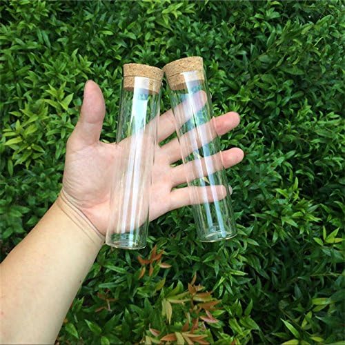 Jarvials 12 Sets of 110ml Transparent Test Tube with Cork Stopper Food Grade Glass Bottles (12, 110ml)