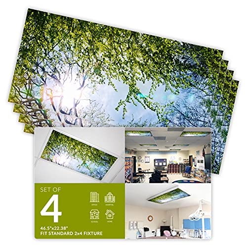 OCTO LIGHTS Fluorescent Light Covers for Classroom Office - Eliminate