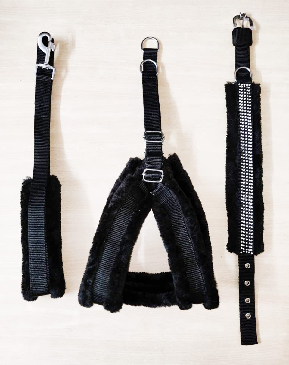 HAPPY4PETS Feather Soft Padded Adjustable Nylon Dog Harness Leash & Collar Set Training, Walking (Black, Medium) (Harness+Leash+Choke Free Collar (M)) (B0BT9ST6T3) Amazon Price History, Amazon Price Tracker