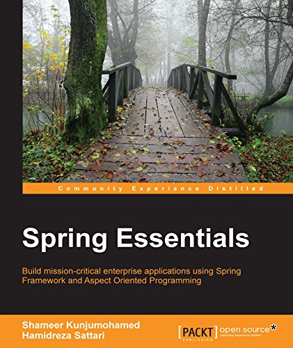 Spring Essentials (English Edition)