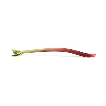 Greens Rhubarb Organic, 1 Each