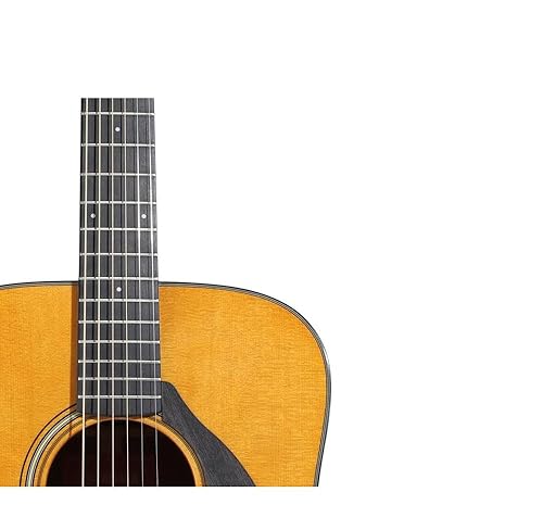 Amazon.com: Yamaha Red Label FGX5 Acoustic Guitar - Natural