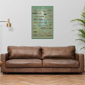 Scorpio Posters Fresh Water Game Fish Poster - 24 x 36