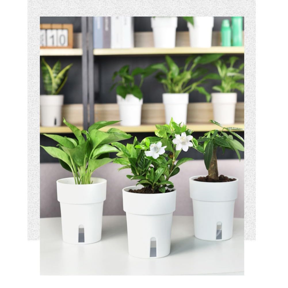 Confezione da 5 vasi per piante autoirriganti, 13 cm, per vasi da fiori in plastica con serbatoio, per erbe grasse, decorazione moderna per casa e ufficio