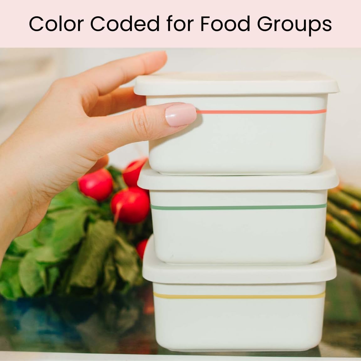 Uba Portion Control Containers (PORCELAIN) for Diet Meal Prep and Storage (1 Pack)