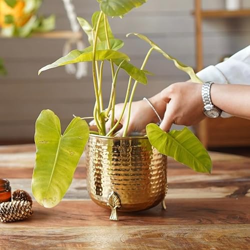 Miniatura 6 de BEHOMA Macetero de metal dorado martillado para decoración del hogar, decoración para interiores y exteriores, balcón, sala de estar (planta no