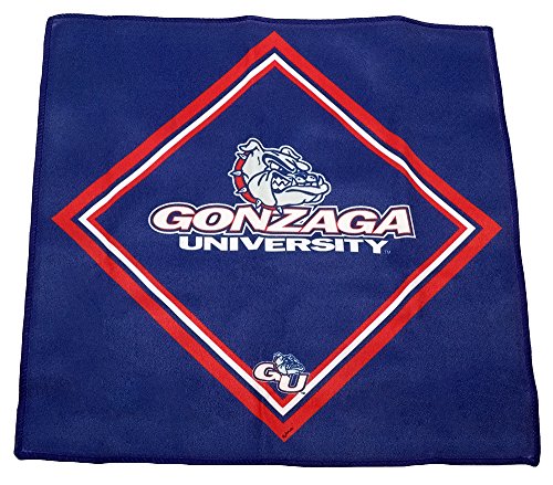 Hi-Look Inc. Collegiate Microfiber Cloth
