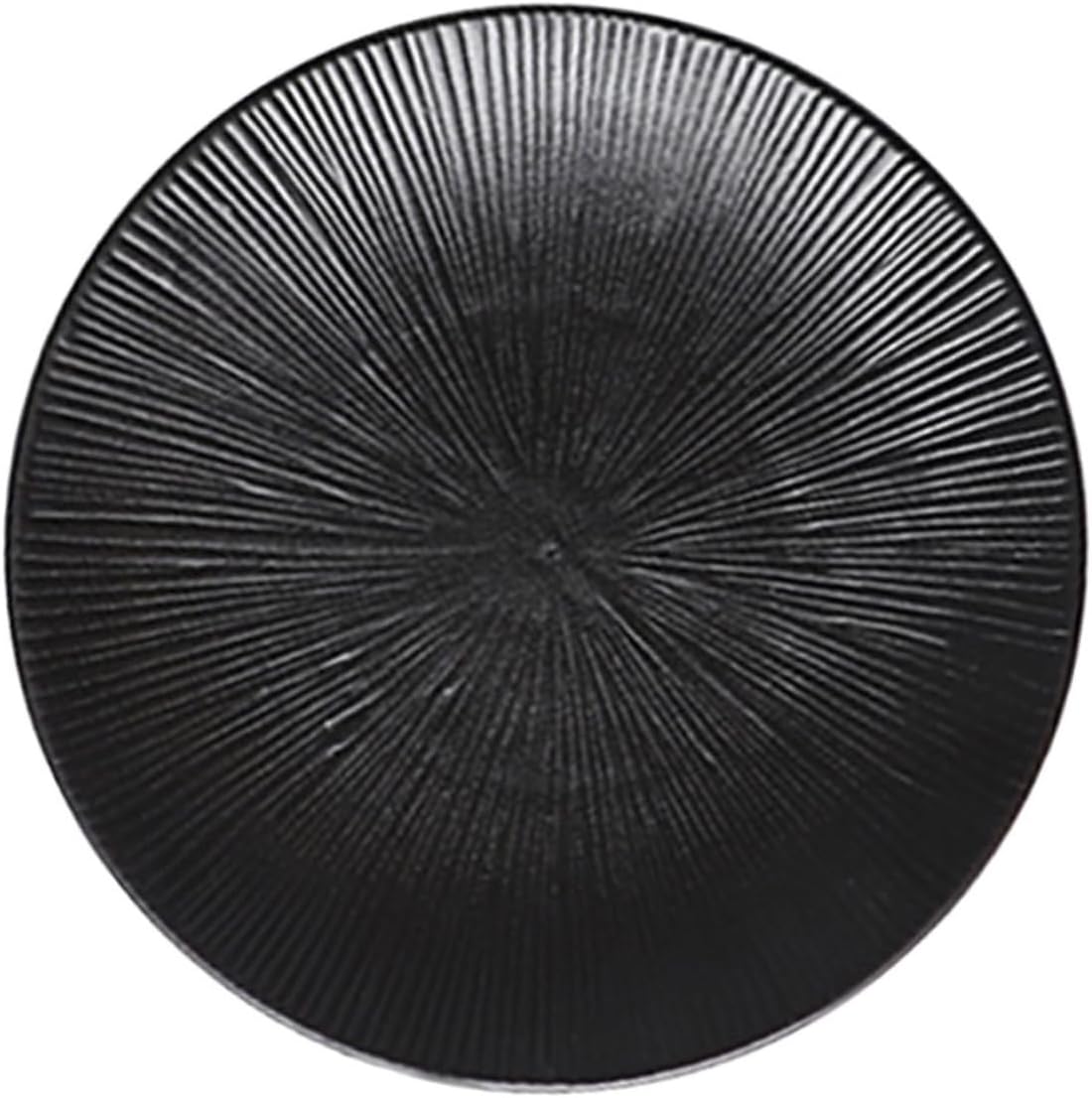 Mikinona 1pc Steak Plate Pizza Plate Food Trays Steak Tray