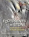 Footprints in Stone: Fossil Traces of Coal-Age Tetrapods