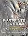 Footprints in Stone: Fossil Traces of Coal-Age Tetrapods
